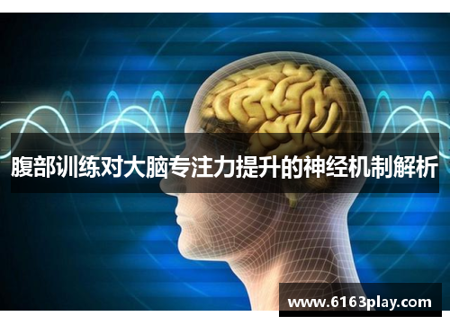腹部训练对大脑专注力提升的神经机制解析
